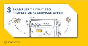 Maximise Your Online Presence with Expert SEO Professional Services
