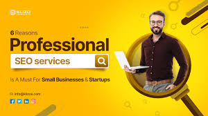 professional seo services