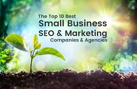 Optimising Success: Unveiling the Top SEO Companies for Small Business