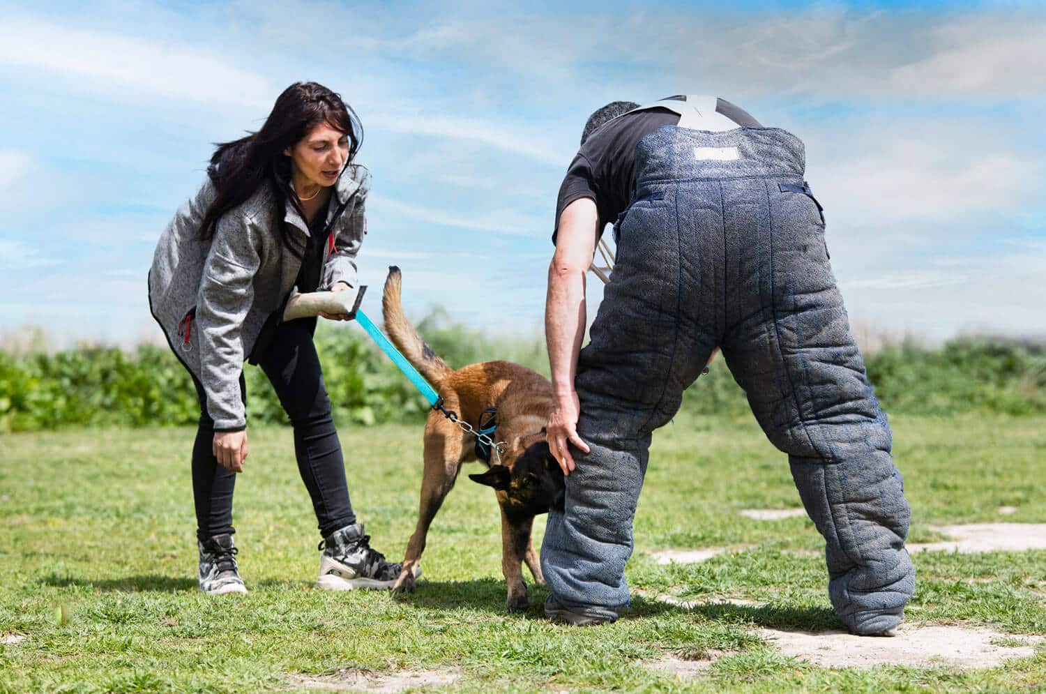 Professional Aggressive Puppy Training Near Me: Finding Expert Help for Your Pet