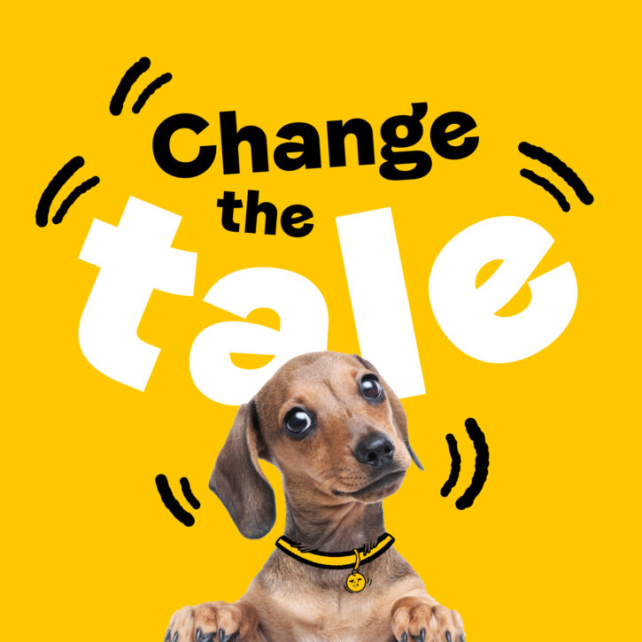 Dogs Trust Courses: Enhancing Canine Education and Training