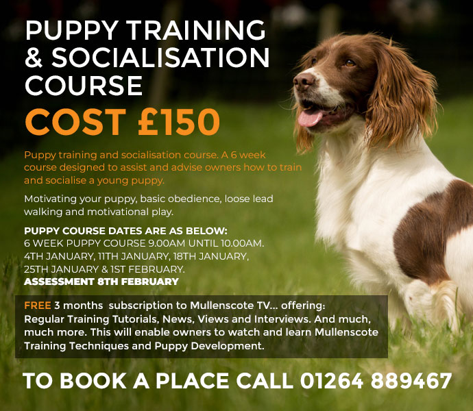 Unlock the Benefits of Free Dog Training Classes for Your Canine Companion