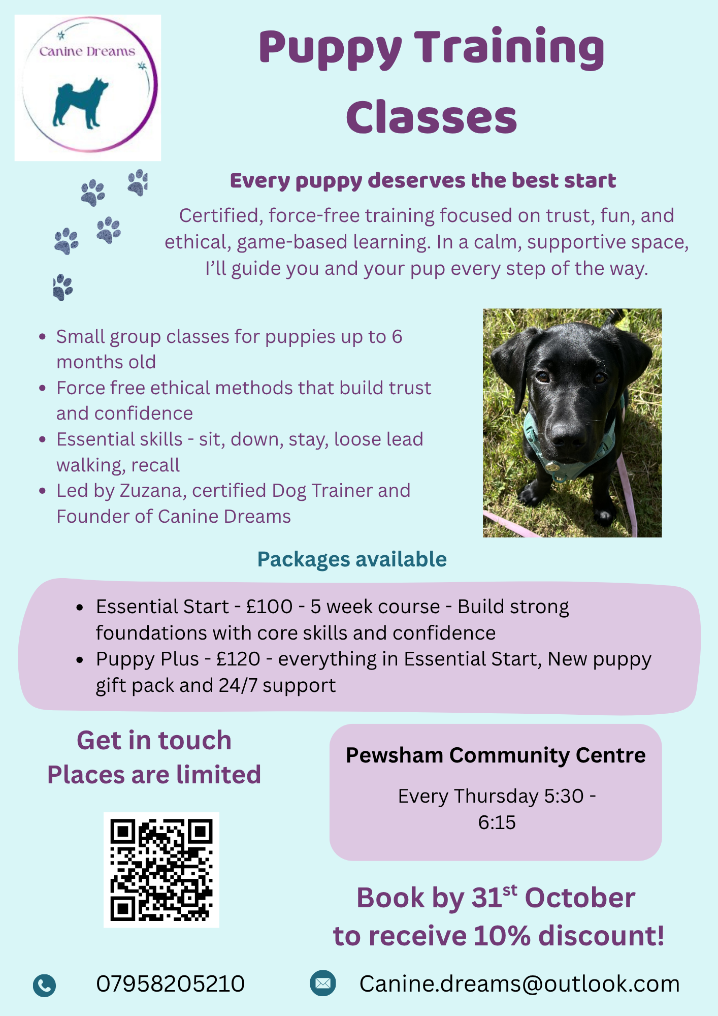 Enhance Your Bond with Weekend Puppy Training Classes in the UK