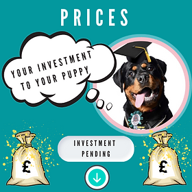 average cost for service dog training