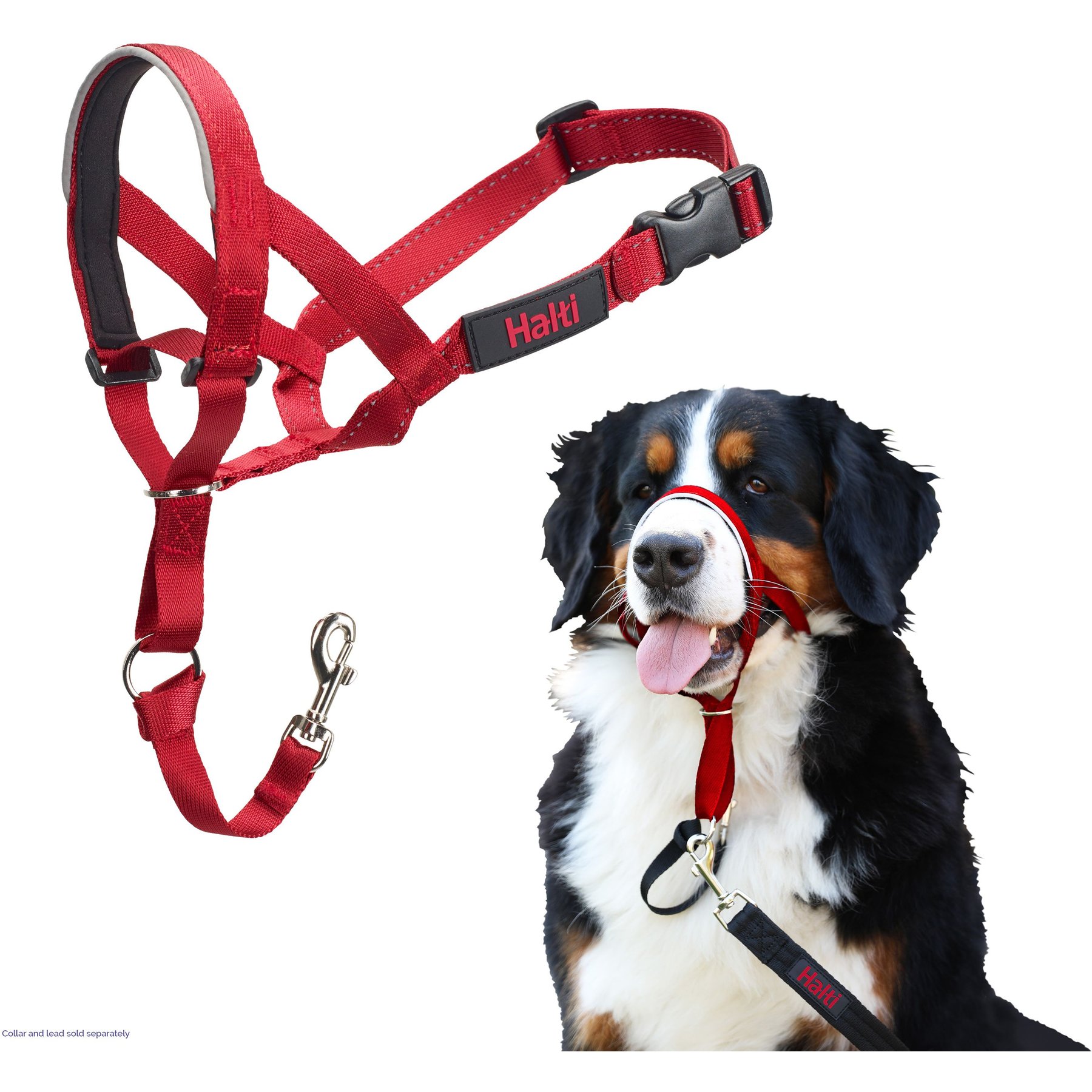 Enhance Your Training with the Cesar Millan Dog Leash: A Tool for Effective Communication