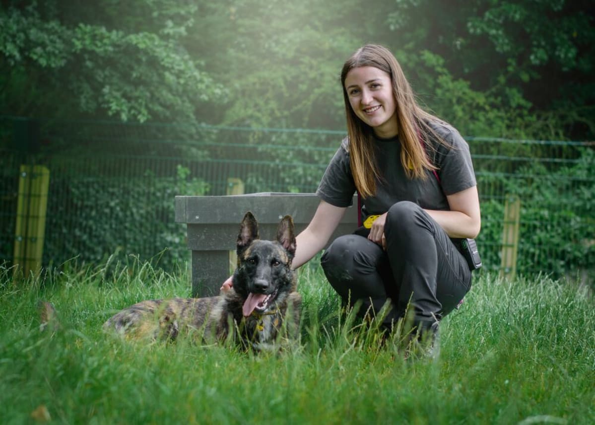 Dogs Trust Courses: Strengthening the Bond with Your Canine Companion
