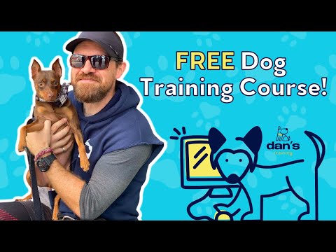 Unlocking Potential: Free Dog Training Classes for a Well-Behaved Canine Companion