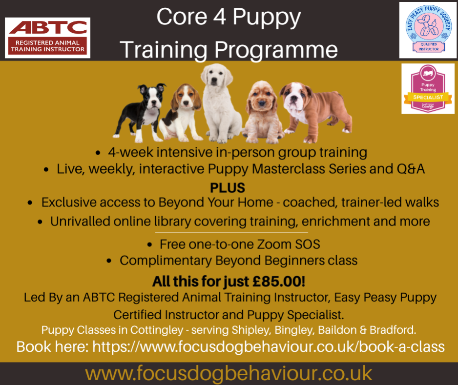 Enhance Your Bond with Local Puppy Training Classes in the UK