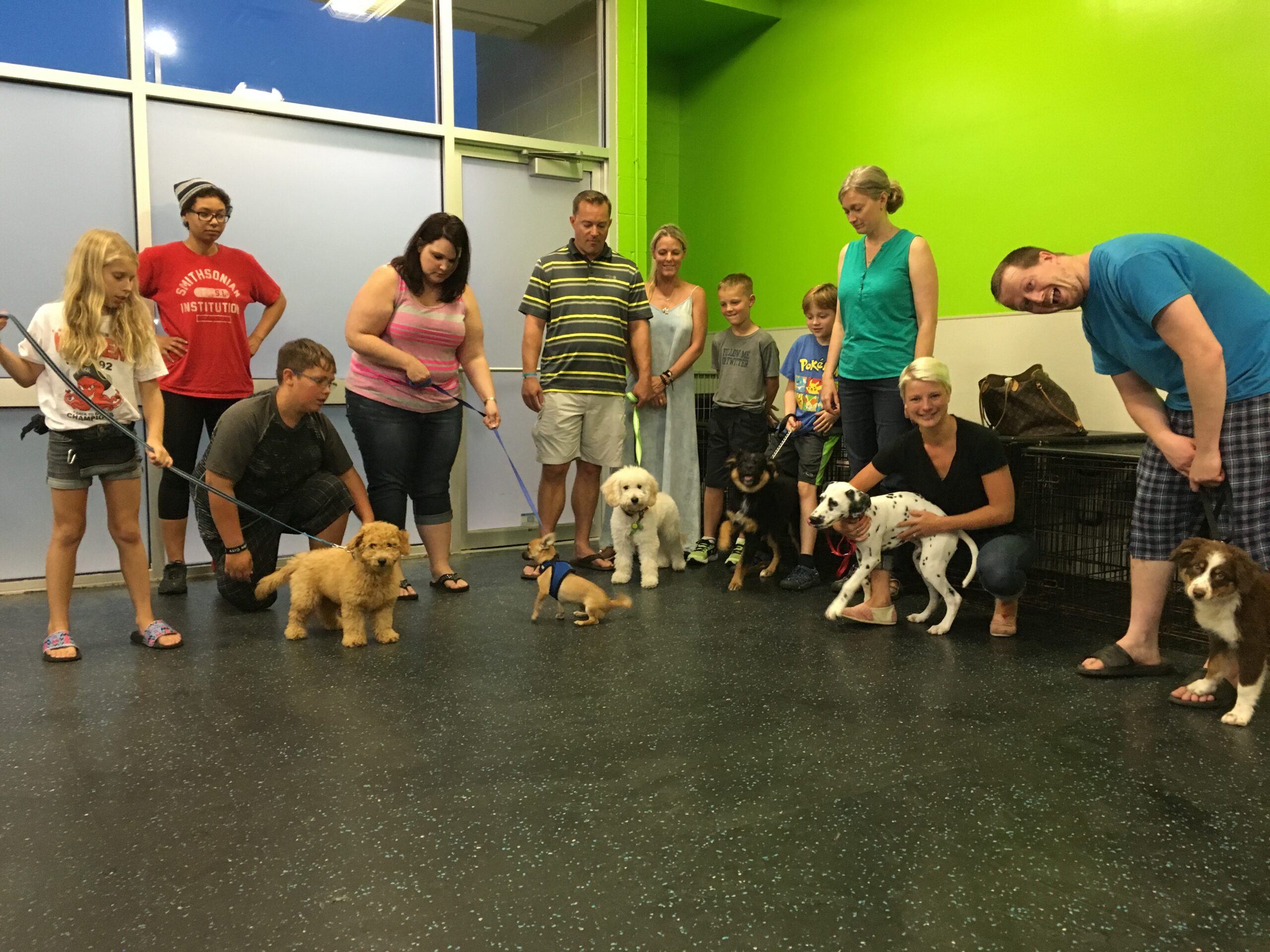Discover Local Pet Training Classes Near Me for Your Furry Friend