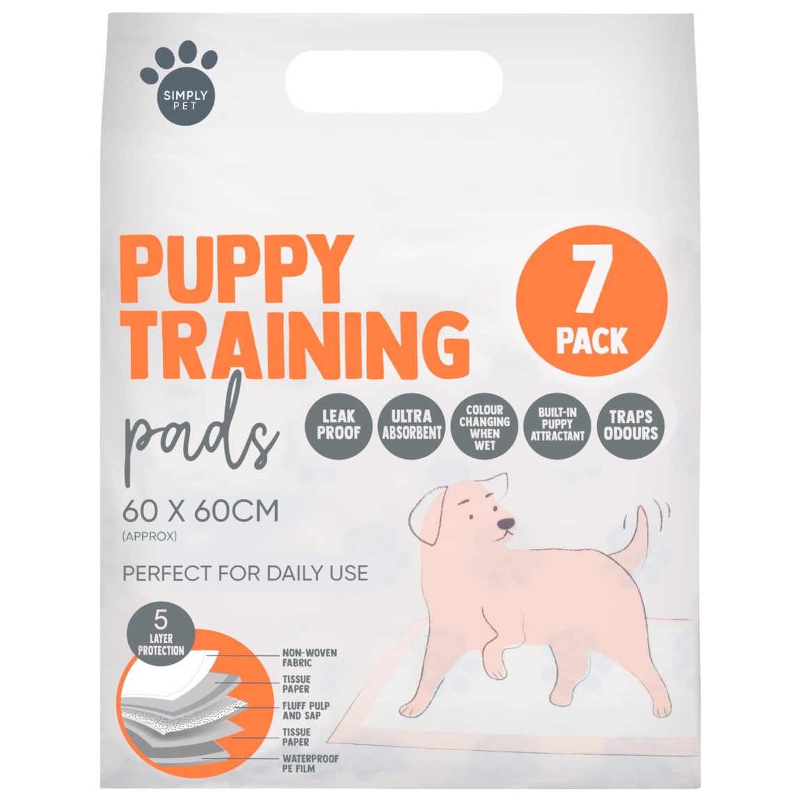 Discover Local Puppy Lessons Near Me for Your Furry Companion