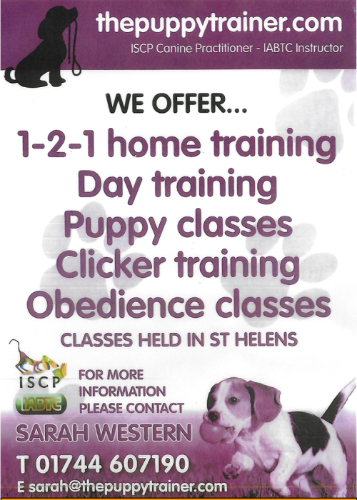 Enhance Your Bond with Weekend Puppy Training Classes in the UK