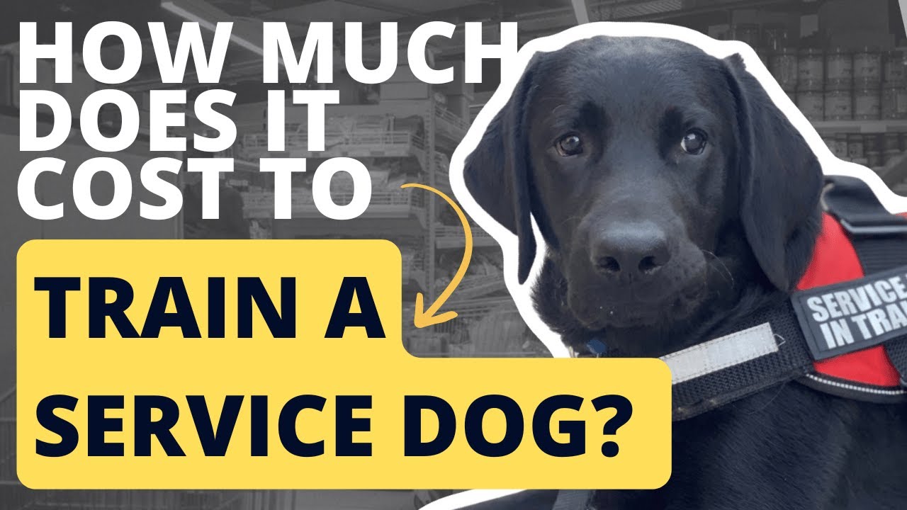 Determining the Average Cost of Training a Service Dog