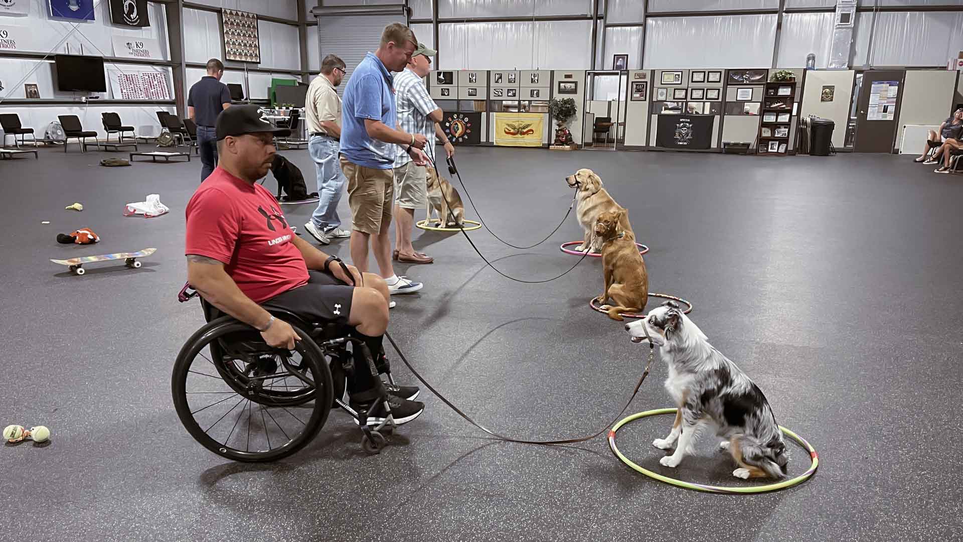 canine therapy dog training