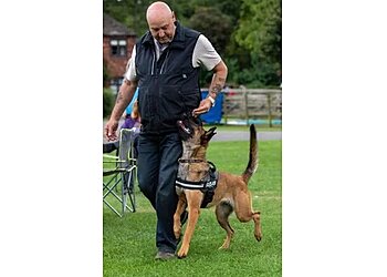 global leader when it comes to dog trainer courses