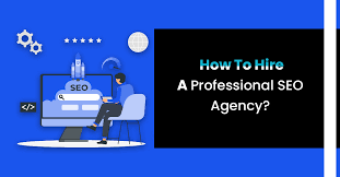 professional seo services agency