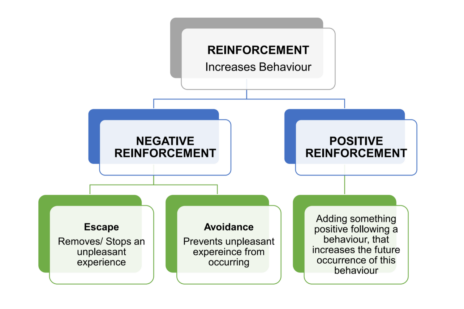 Unlocking Potential: The Impact of Position Reinforcement in Animal Training