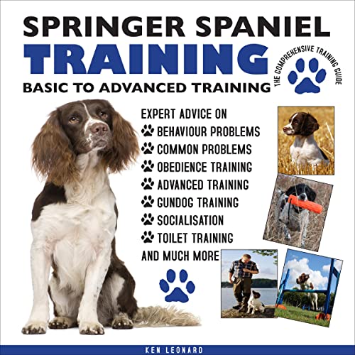 Elevate Your Skills with Expert Training