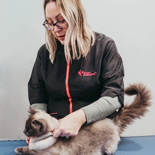 Mastering Pet Care: Elevate Your Skills with Professional Grooming Courses