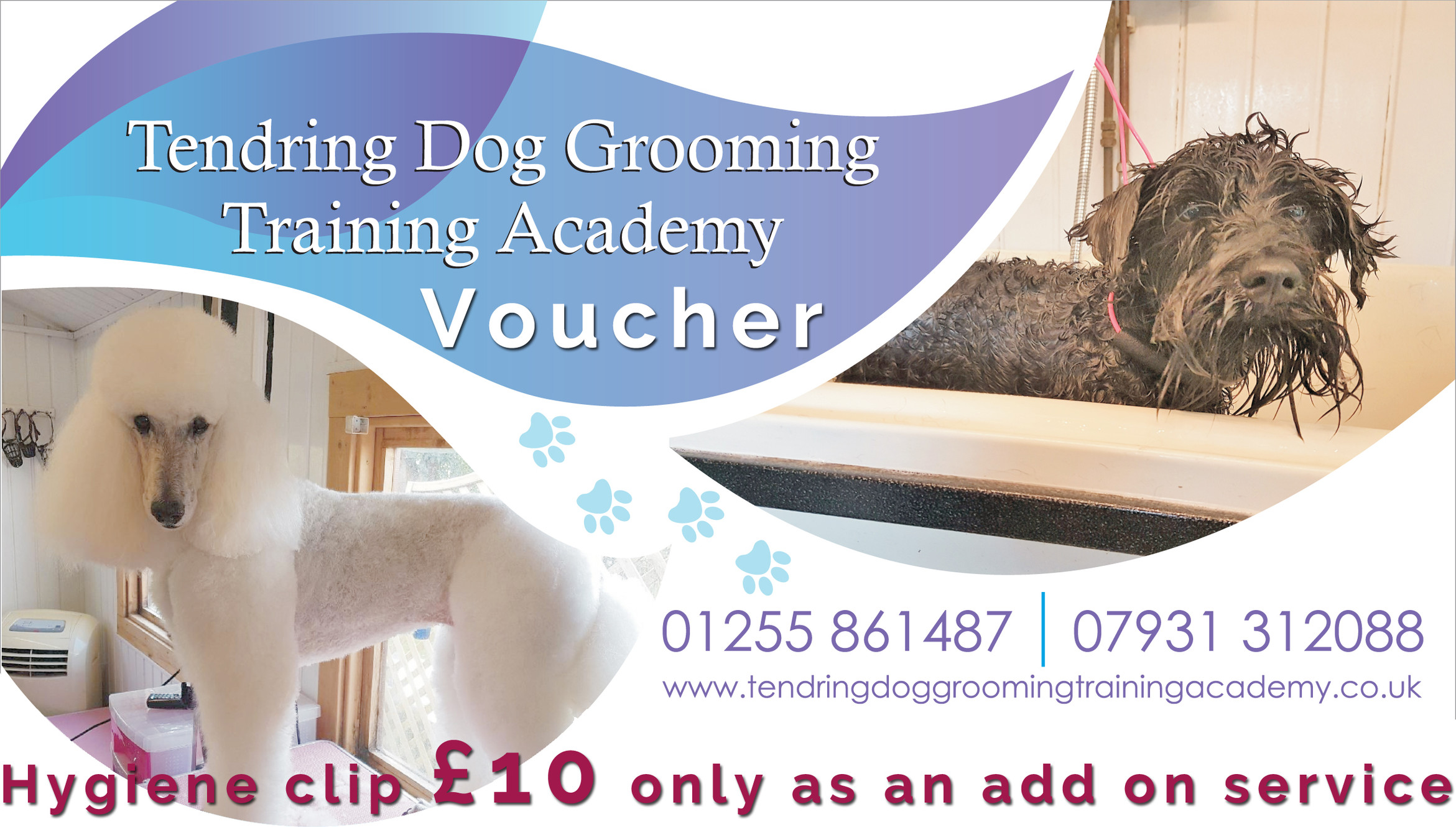 grooming training