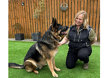 How to Find the Best Dog Behaviourist for Your Pet