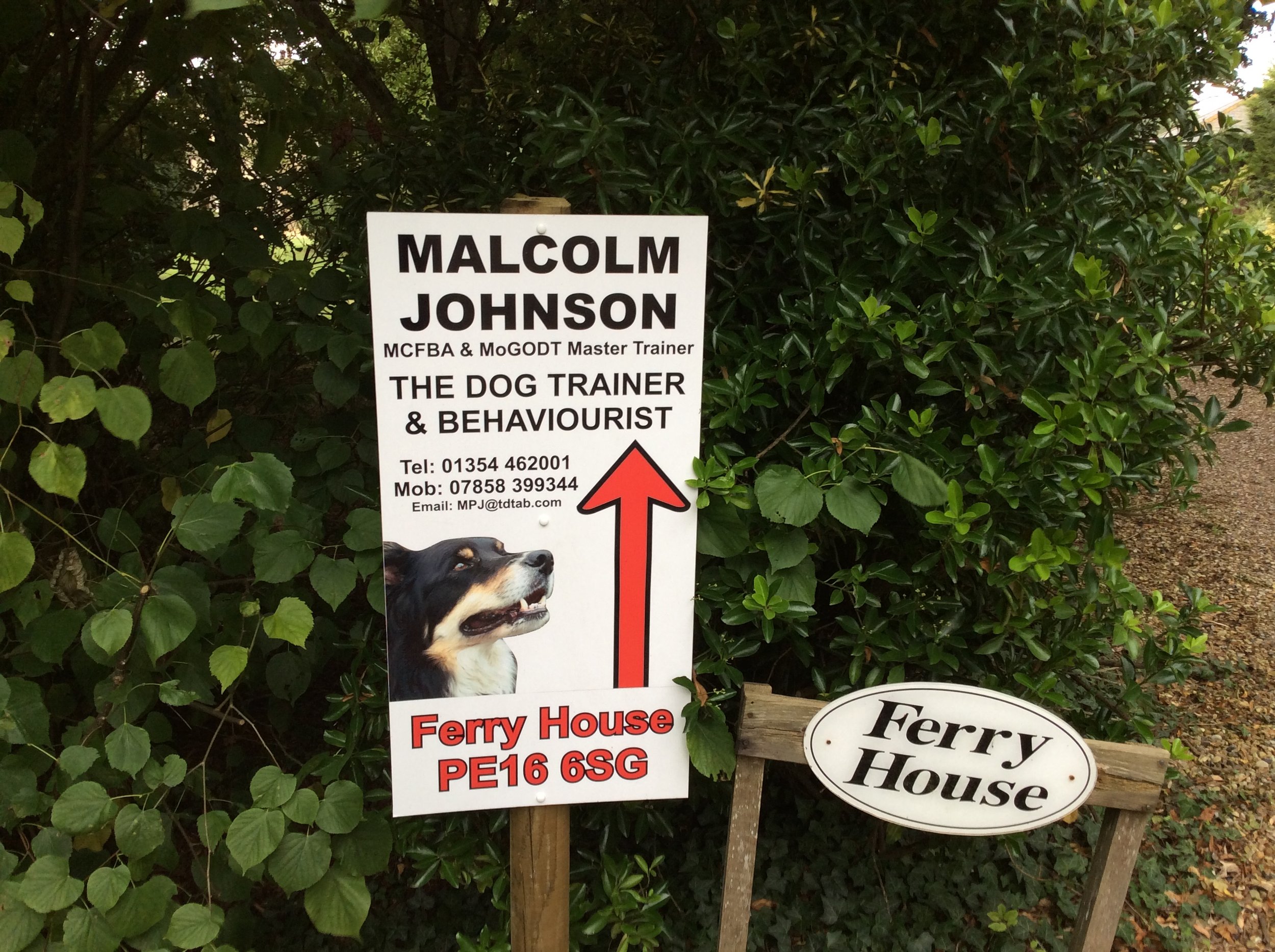 the dog trainer and behaviourist